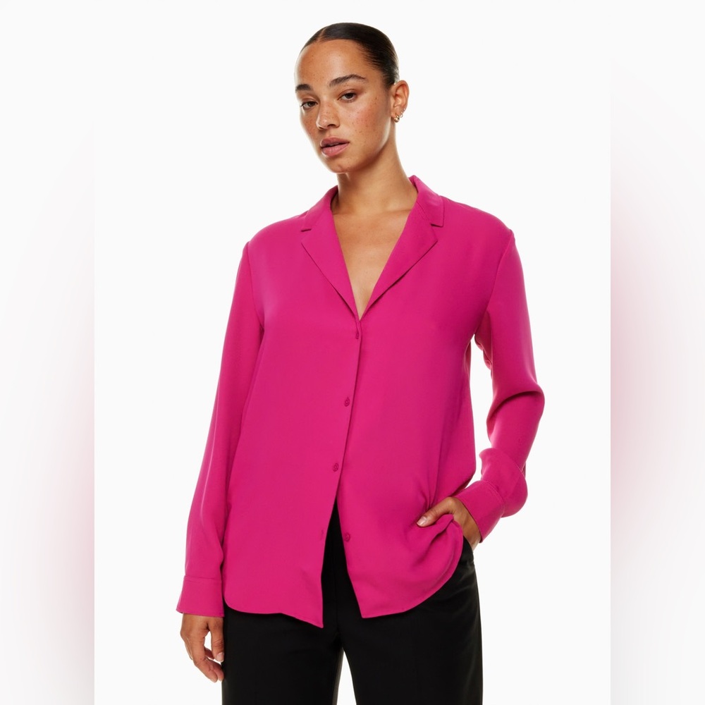 ⭐️ NWT Aritzia Babaton Monocle Button Down Shirt